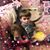 Sondra Lynn Perkins's profile image