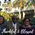 Lisa R. Webb's profile image