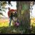 Patricia Brown's profile image