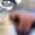 Kerri Gould's profile image