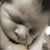Wendy Dorsey Rachels's profile image