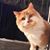 Daveand Laura Bielby's profile image