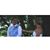 Will Signor's profile image