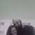 Jolene Plummer's profile image