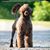 Sharon Kang's profile image