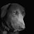 Becci Cunningham's profile image