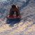 Beth Foster Brown's profile image