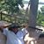Earl J Secola's profile image
