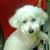 Otilia White's profile image