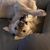 Cathy Lawter's profile image
