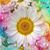 Jamie Rice Pierson's profile image