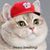 Richard Zee's profile image