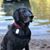 Jen Dauchy's profile image