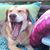 Shelley Pollak Blaho's profile image