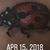 Lee Michele Jeffrey's profile image