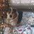 Sarah Asher Turpin's profile image