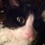 Janet Wright's profile image