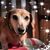 Gail Harding's profile image
