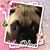 Robyn Zipsie's profile image