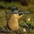 Stacy Smith's profile image