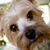 Linda Bottoms's profile image