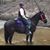 Carmalee Gier Scarpitti's profile image