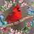 Marcia A Brown's profile image