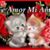 Marlenis Perez's profile image
