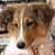 Ellen Saler-Santini's profile image