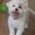 Cynthia Rice Revis's profile image