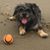 Troy Knabe's profile image