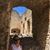 Lidia Lomuto's profile image