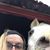 Leah Golembiewski's profile image