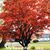 NathalynCarlos Martinez's profile image