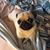 Connie Kubilis's profile image