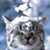 Janice Lopez's profile image