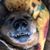 Anita Johnsen's profile image
