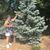 Glenda Wesley Raborn's profile image