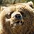 Matthew Schampers's profile image