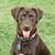 Laurie Grier's profile image