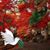 Deb Dammeier's profile image