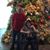 Yvonne Doherty's profile image