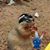 Michael Moose Baldyga's profile image