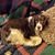 Suzanne Hamme's profile image