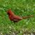 Angie Duncil-Bunch's profile image