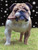 Gary D.'s profile image