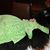 Darene Dorton's profile image