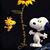 Michele Smeal's profile image