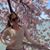 Ludmila Paula Araujo's profile image