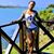 Kathy Jay's profile image